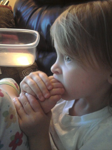 [2010-07-30 10.53.48[6].jpg]
