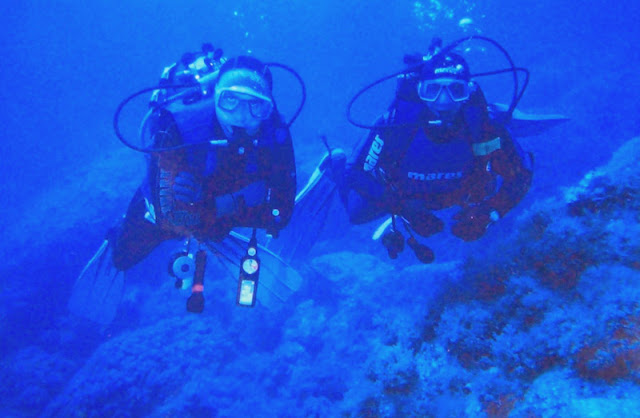 giodive