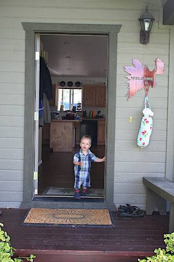 Owen get sto venture outside and explore the big bad world all on his own (well, our front and back yards anyway)