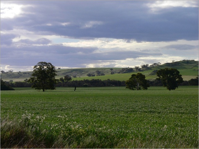 northam scenery