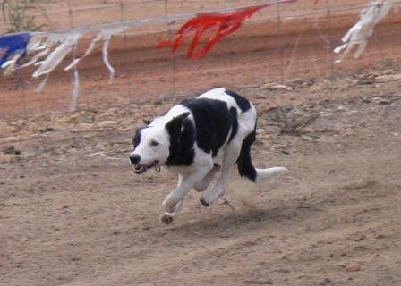 floss runs.jpg