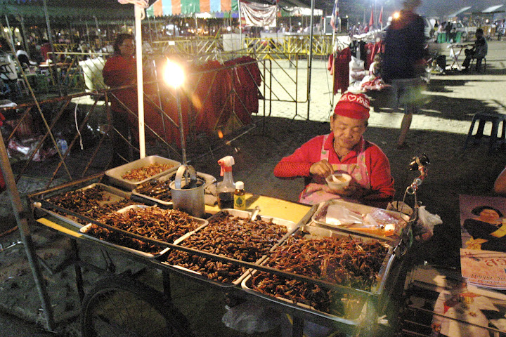 Old lady was selling fried insects