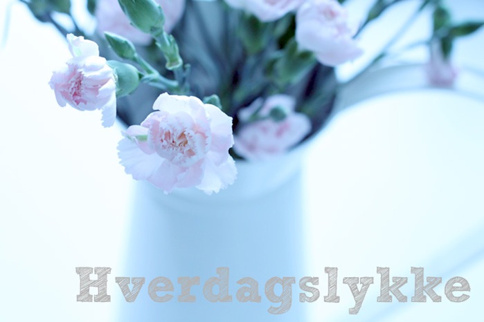 Hverdagslykke1 Hverdagslykke1