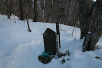 IMG_8364.JPG Photo