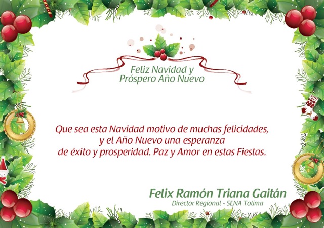 [Feliz Navidad SENA Tolima_01[5].jpg]