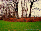 Contrast, Tarun Chandel Photoblog