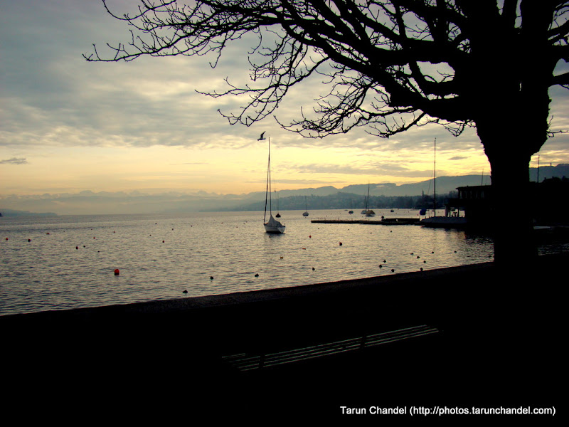 Switzerland Trip: Stroll along the Zurich Lake, Tarun Chandel Photoblog