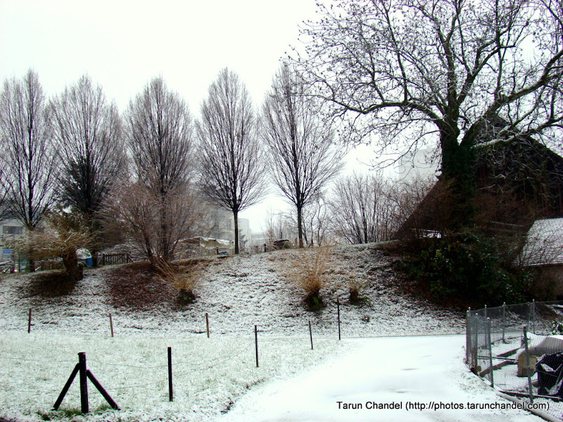 Switzerland Trip Lucerne: Snow Cover, Tarun Chandel Photoblog