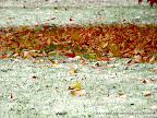 switzerland trip lucerne keep your, Tarun Chandel Photoblog