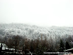 snow covered interlaken, Tarun Chandel Photoblog