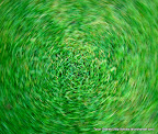 Green Revolution, Tarun Chandel Photoblog