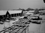 London Snow Cover, Tarun Chandel Photoblog