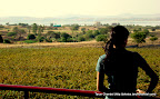 Lost in the Nature, Tarun Chandel Photoblog
