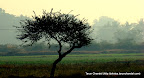 Early Morning, Tarun Chandel Photoblog
