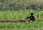 Farmer Nasik, Tarun Chandel Photoblog