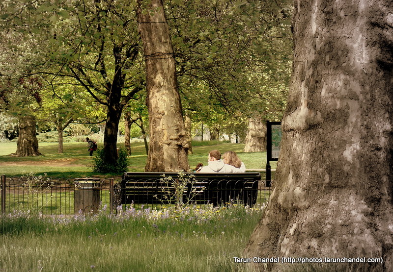 Bench London UK, Tarun Chandel Photoblog