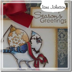 Jane_birdWithBauble
