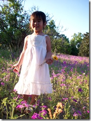 wildflowers 099