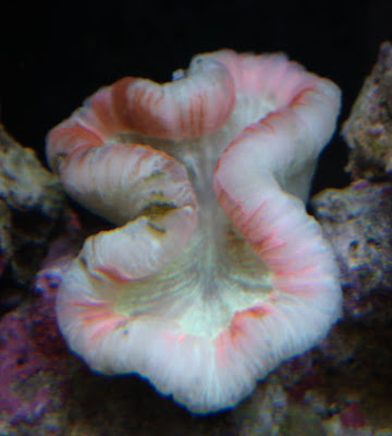 DSC02334.JPG