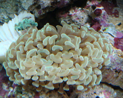 DSC02340.JPG
