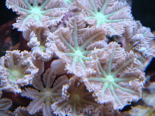 DSC02262.JPG