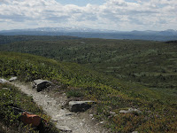 IMG_3295.JPG Photo