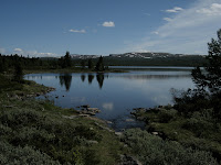 IMG_3341.JPG Photo