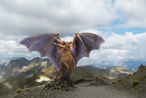 Real Life Charizard