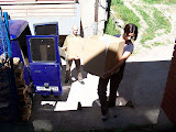 100_2883.JPG