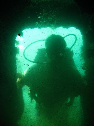 Подводные фото Судака Div-15