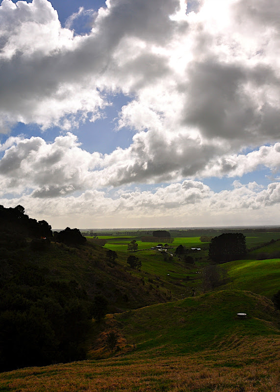 New Zealand countryside, north island