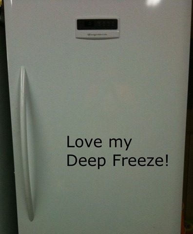 [1Deep Freeze copy[2].jpg]