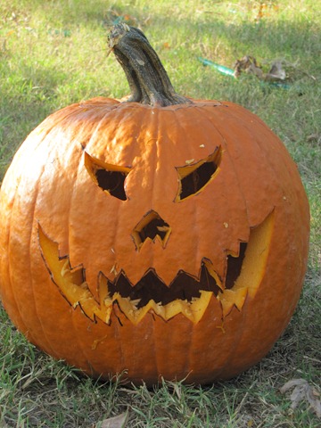 [IMG_09843.jpg]