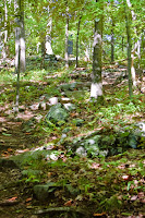 White trail Photo