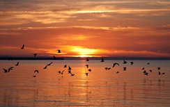 Saulriets Jūrmalā, Latvijā (Sunset in Jūrmala, Latvia) Saulriets Jūrmalā, Latvijā (Sunset in Jūrmala, Latvia)