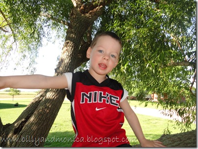 Laine in tree Laine in tree
