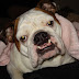 DSC03196.JPG