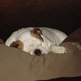 DSC03214.JPG