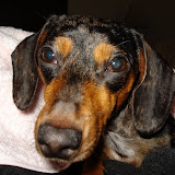 DSC03207.JPG