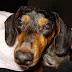 DSC03207.JPG