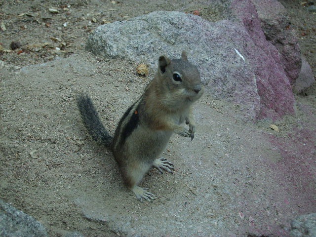 [08232009183.jpg]