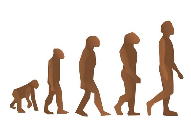 [human-evolution-t10176[3].jpg]