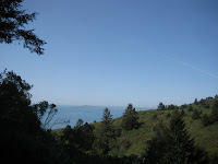 IMG_4811.JPG