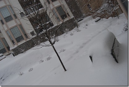 Pizza Snow 074
