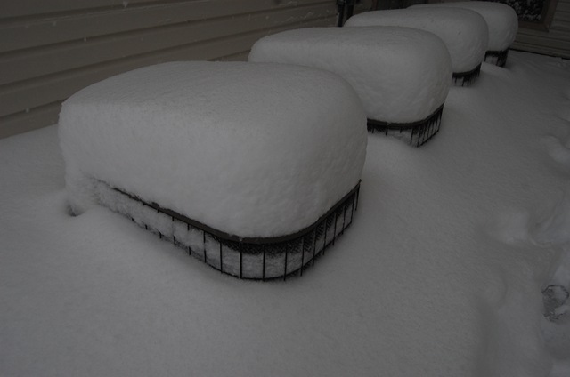 [Pizza Snow 077[3].jpg]