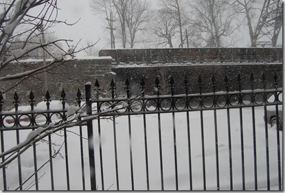 Pizza Snow 095