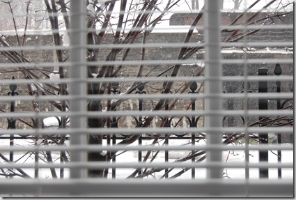 Snow 162