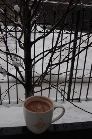 [Snow 160[6].jpg]