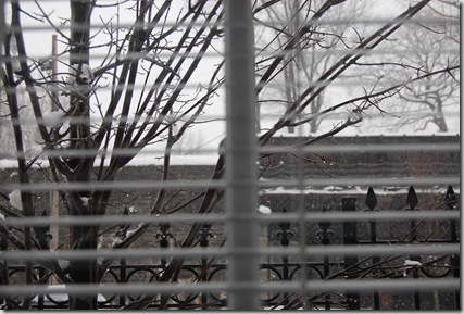 Snow 163