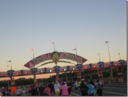 disney 178